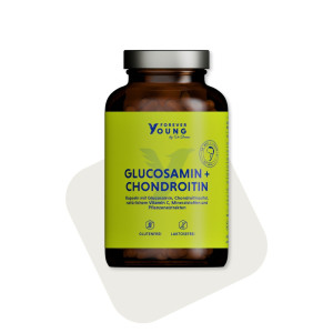 Glucosamin Chondroitin Kapseln