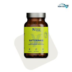 Nattokinase Kapseln