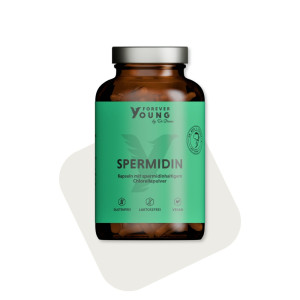 Spermidin Kapseln
