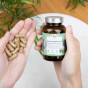 for you phyto balance Kapseln