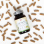 ingwer-extrakt-kapseln-mit-ginactive.jpg