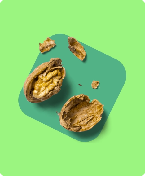 Bild einer aufgebrochenen Walnuss auf grünem Hintergrund