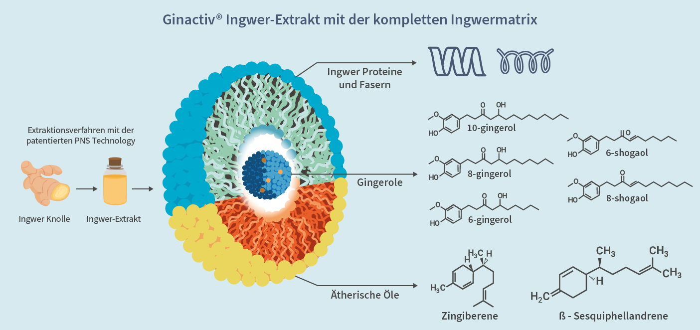 Ingwermatrix