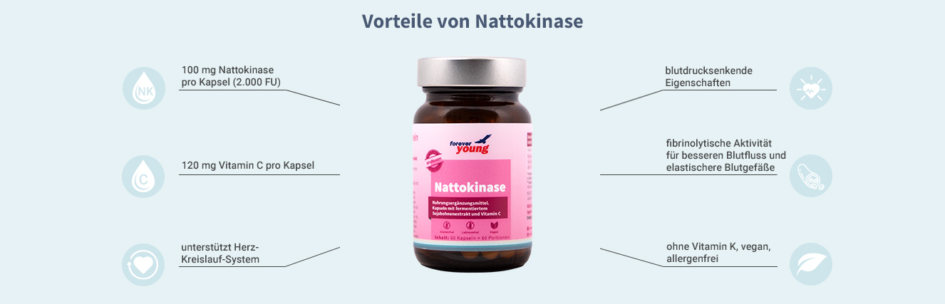 Nattokinase Vorteile Infografik: Vorteile von Nattokinase