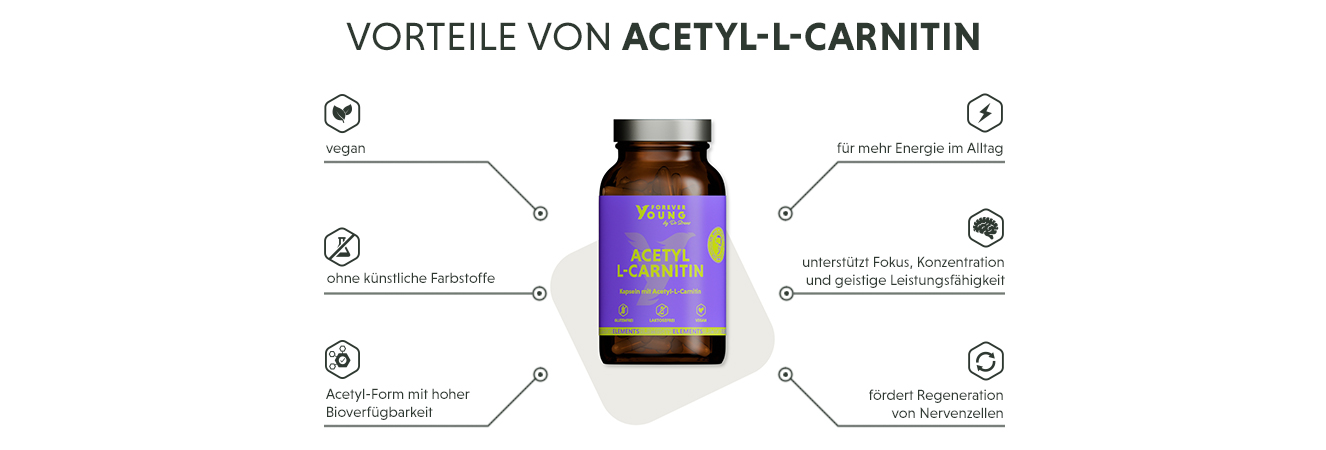 Infografik: Produktmerkmale von Acetyl-L-Carnitin Kapseln