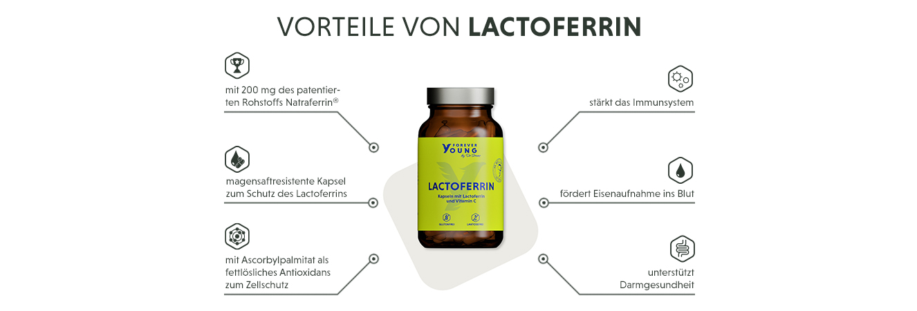 Infografik: Produktmerkmale von Lactoerrin Kapseln