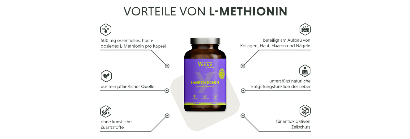 Infografik: Produktmerkmale der Methionin Kapseln mit 500 mg L-Methionin 