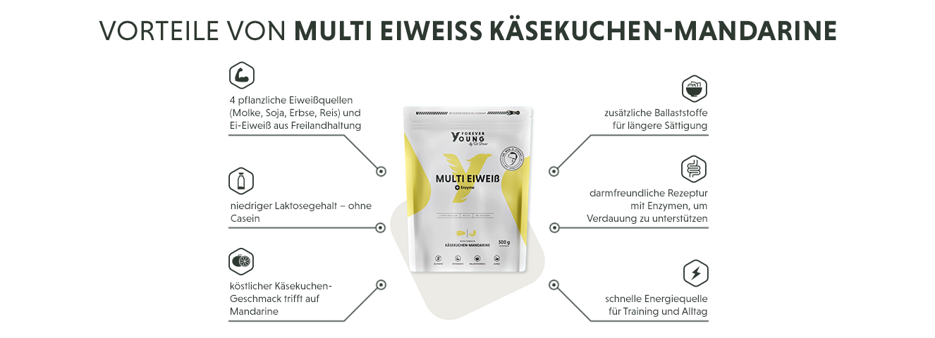 Infografik: Produktmerkmale des Multi Eiweißpulvers Käsekuchen-Mandarine im Überblick