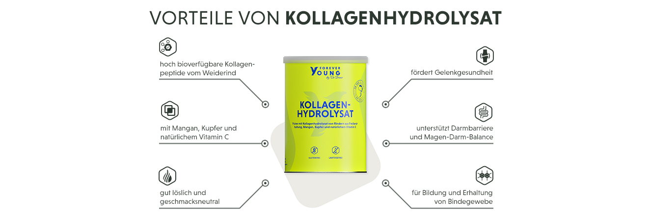Infografik: Produktmerkmale des Rinderkollagenhydrolysat-Pulver vom Weiderind