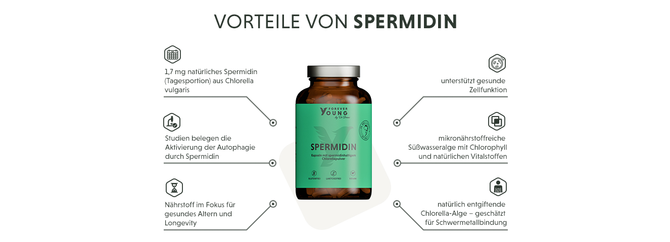 Infografik: Produktmerkmale der natürlichen Spermidin Kapseln mit Chlorellapulver