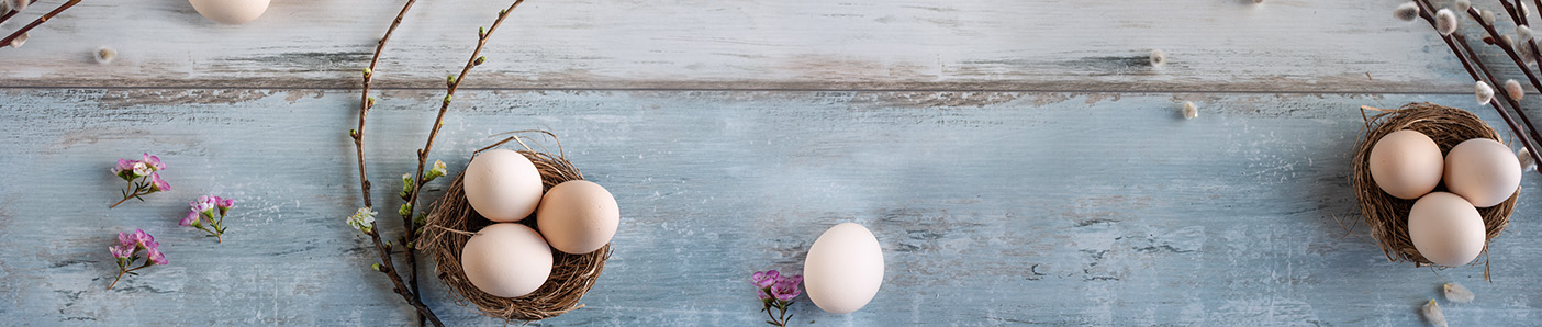 Osteraktion – suchen Sie Ostereier im Shop und sparen Sie Strunz Osteraktion
